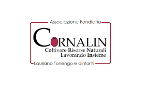 logo asfo cornalin3