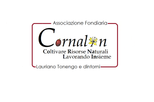 logo asfo cornalin4